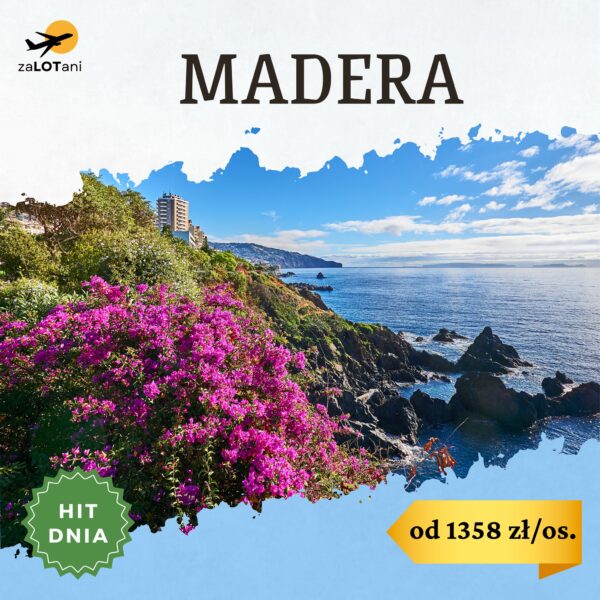 Hit Dnia na Maderę od 1358 zł/os.